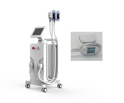 China Ultra Slim Belly Fat Removal Machine , 1000W Cryogenic Lipolysis Machine for sale