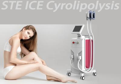 China Vacuum Cryo Cryolipolysis Slimming Machine For Fat Cavitation Machine for sale