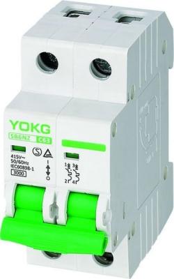 China 6KA 220V Mini Circuit Breaker SB6L 1 Pole 2 Pole High Breaking Capacity for sale