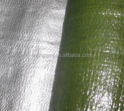 China Green And Silver High Quality And Cheap Price Woven Tarpaulin Sheet Polyethylene Fabric Waterproof for sale