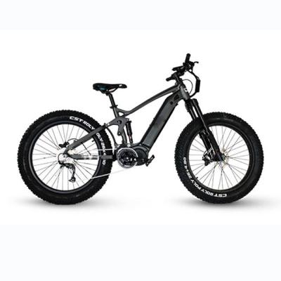 China 750W Aluminum Alloy 26 Inch E Bike Electric Bicycle 48V Electric Mountain Bike Ebike For Adult for sale