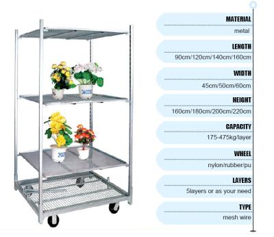 China Hand Shopping Dutch Nursery Metal Shelf Flower Cart With Best Price for sale