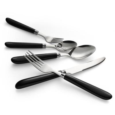 China Stainless Steel Flatware Set, Sustainable Plastic Spoon Knife And Fork for sale