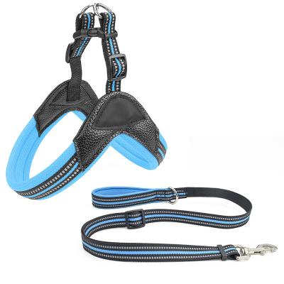 China Pet Collars And Leashes Reflective Pet Dog Collar Leash Cat Leash for sale