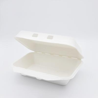 China High Quality Biodegradable Eco-friendly Disposable Food Container Eco Container Sugar Cane Bagasse Lunch Box for sale