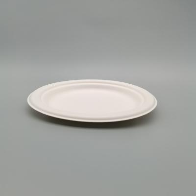 China Disposable Eco-friendly Compostable Biodegradable Sugar Cane Bagasse Party Dinner Dish Disposable Disposable Dish for sale