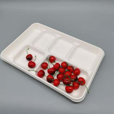 China Disposable Sugar Cane Trays 6 Compartments Disposable Tableware Eco Friendly for sale