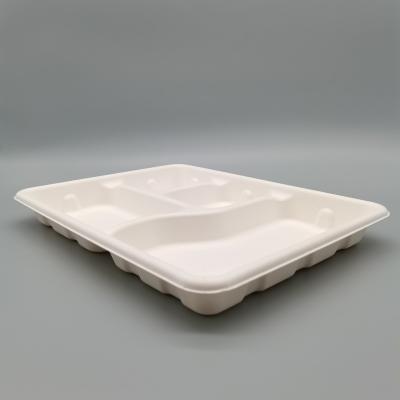 China Sugarcane bagasse food 4 compartment disposable tray and 5 compartment food tray costom for sale