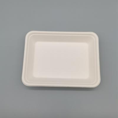 China Disposable Compostable Eco-Friendly Sugarcane Bagasse Tableware Sets Serving Tray Pasta Charger Dishes Lunch Box for sale