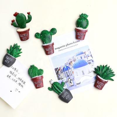 China Creative Souvenir 3D Lightweight Promotional Cactus Fridge Magnet for sale