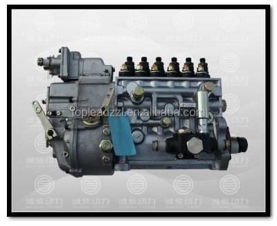 China IRON WEICHAI FUEL INJECTION PUMP 612601080168 for sale