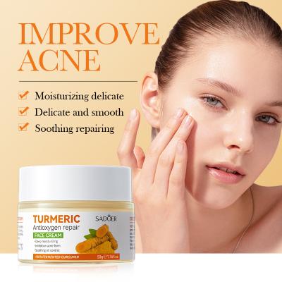 China Custom Organic Facial Turmeric Anti Aging Skin Care Vegan Beauty Turmeric Acne Moisturizer Private Label Anti Aging Cream for sale