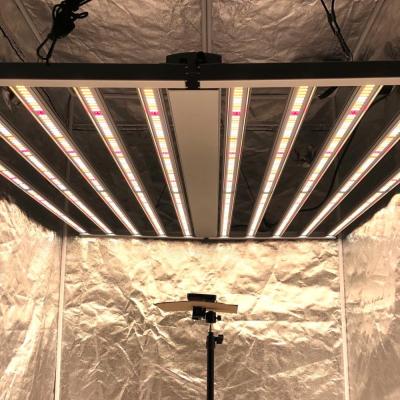 China Best Selling OEM Seed Starting Full Spectrum 1000w 800w Led Grow Light For Hydroponics Indoor Veg And Flower for sale