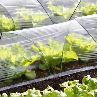 China Vegetable Economical Clear / Transparent UV Resistant PE Mulch Films For Agriculture for sale