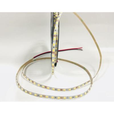 China Indoor Factory Direct Supply 5m Roll Ultra Thin Durable 3.5mm Width Dimmable LED Light Strip Unbreakable for sale