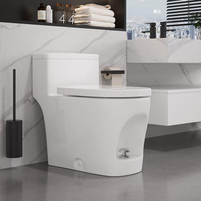 China Double-Flow Bathroom Foot Step Rinse Water Saving Ceramic One Piece Toilet Lavatory for sale