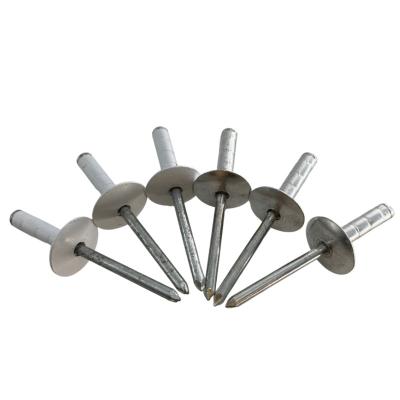 China Wholesale factory price stainless steel large aluminum flange head stainless steel blind rivet for sale