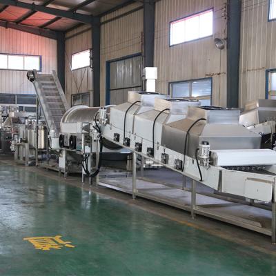 China Quickly Make Popcorn Large Capacity Automatic Popcorn Line Automatic Flavor Popcorn Bacon Taste Production Line for sale