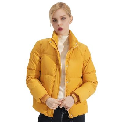 China Fashion Wholesale Hot Women Bubble Winter Coat Down Jacket for sale