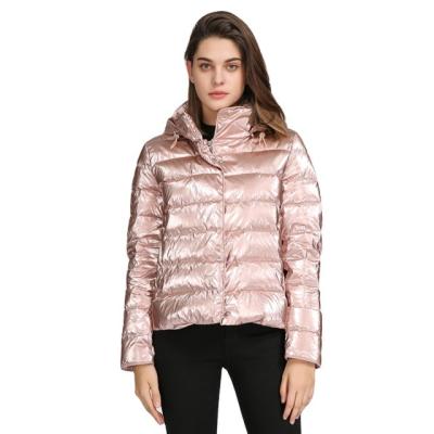 China Customized Shiny Hooded Waterproof Down Ladies Plus Size Women Winter Jacket Bubble Coat for sale