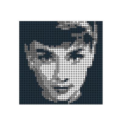 China DIY TOY Kid's Toy Buildmoc Pixel Painting Series Audrey Hepburn Legoingly Bricks Painting Custom Art Mosaic Building Blocks Set for sale