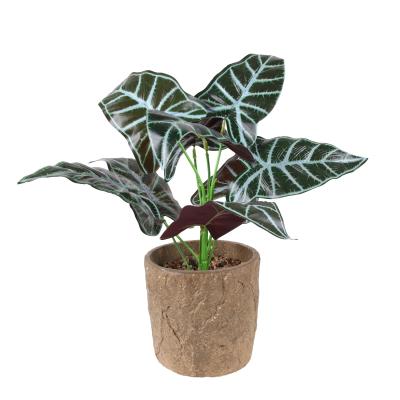 China Art Decor Factory wholesale artificial alocasia bonsai trees for computer desk decor for sale