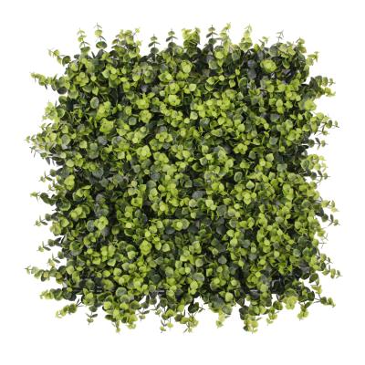 China Art Decor 20x20 Inch Fake Green Grass Plastic Boxwood Hedge Artificial Wall Panel For Hotel Decoration for sale