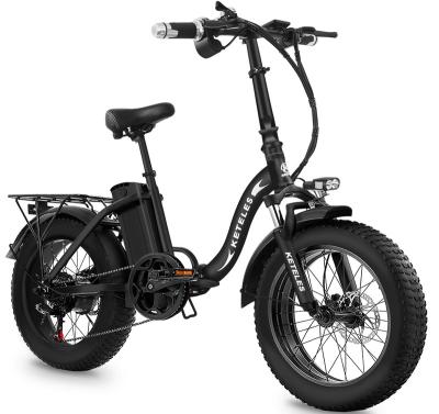 China Aluminum Alloy High Performance Adult Electric Bicycle, 48V/750W/10A Folding Fat Tire EBIKE for sale