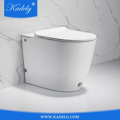 China Concealed Flush Ceramic Tank Foot Tankless Toilet Bowl for sale