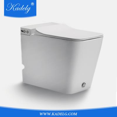 China Hidden Tank New Products Bathroom Back To Wall Tankless Toilet for sale