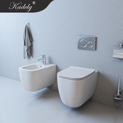 China Concealed Ceramic Cistern Sanitary Ware Rimfree Matt White Wall Mounted WC Sets for sale