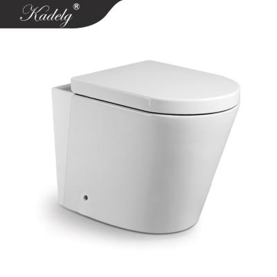 China Luxury White Ceramic Bathroom Hidden Cistern Modern Back To The Wall Toilet Pan With Seat for sale