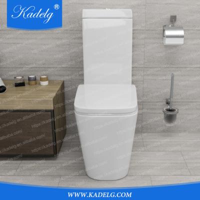 China European Stylish Ceramic Bathroom Washdown Double-Flow Design One-Piece Toilet for sale