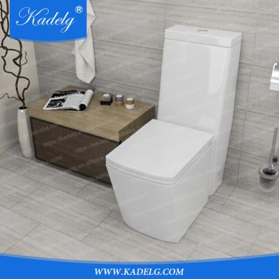 China Double-Flow Western Style Bathroom Sanitary Ware Floor Standing One Piece Toilet for sale