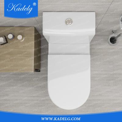 China China Suppliers of Double-Flow Floor Standing Sanitary Fit One Piece Toilet Bowl for sale