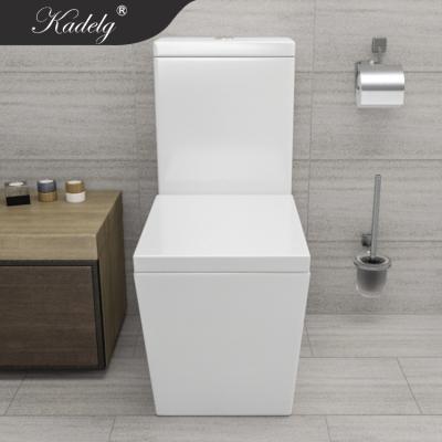 China Double Flush Economy Gloss 3/6L Standard Flush One Piece Toilets Europe Double Bowls Sanitary Ware for sale