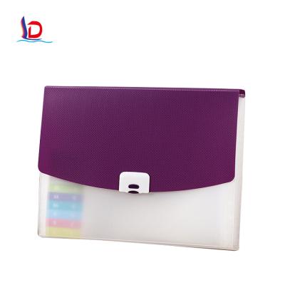 China Multilayer Archive Bag Plastic Loose Leaf PP File Organ Bag A4 Instant File Bag for sale