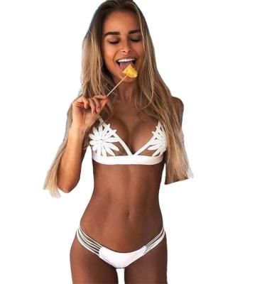 China Wholesale Women's Sexy Swimwear Beach Design Bikini Fashion Fashion Plus Size Two Piece Swimsuit For Women Brand Swimwear for sale