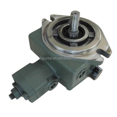 China VP20 Hydraulic Vane Pump Foth Blue Coating Hydraulic Variable for Hyhraulic Mamhines for sale