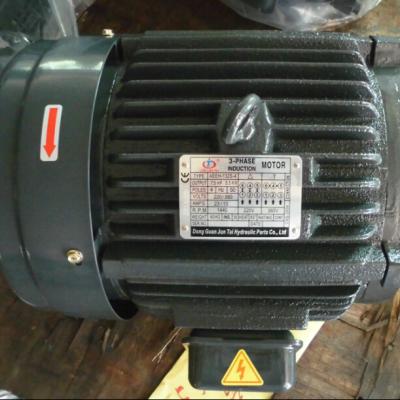 China Totally Enclosed AC Motor 380V Three Phase Hydraulic Vibrating Electric Motor Made in China for sale