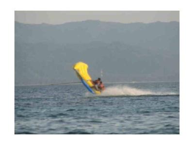 China 2014 Inflatable Flying Fish Towable Tubes for Outdoor Acctivity for sale