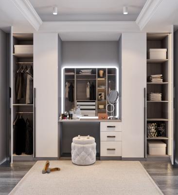 China Living Room Walk In Closet Made Of Particle Board Carcass And Hettich Hardware en venta