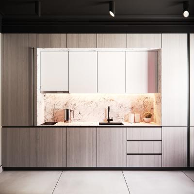 Chine Modern Stylish Home Kitchen Cabinets With Flat Raised Shaker Door And Granite Marble Quartz Artificial Stone à vendre