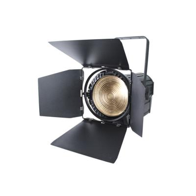 China Photographic Studio Lights 100W LED Studio Fanless Light Spot Light Fresnel Hotel 100 Watt COB Led 5600k for sale