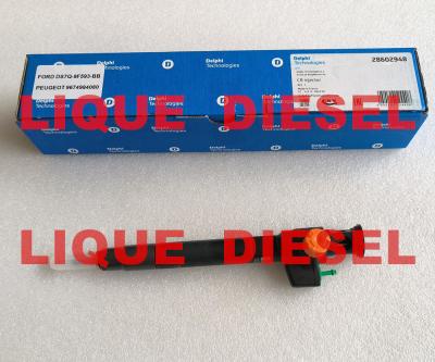 Chine DELPHI Common Rail Injector 28602948 9674984080 28388960 28319895 à vendre