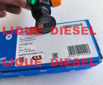 Chine DELPHI Common Rail Injector 28602948 9674984080 28388960 28319895 à vendre