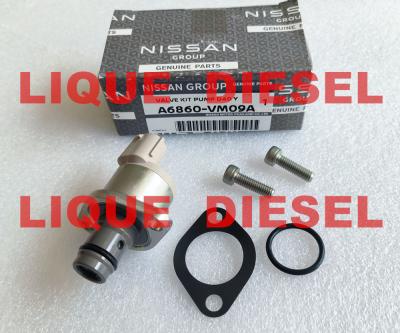 China Los kits de revisión A6860-VM09A A6860VM09A A6860 VM09A incluyen la válvula 294200-0360 en venta