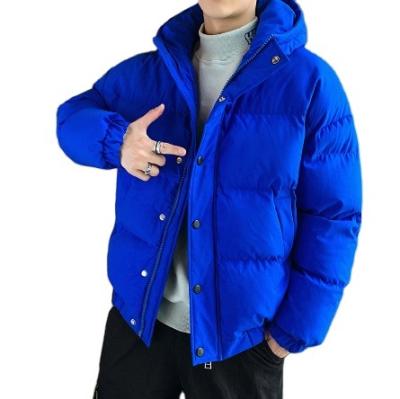 China Anti-wrinkle winter bubble nylon stripper zipper windproof jacket for man hooded coat fall 2021 warm jackets for sale