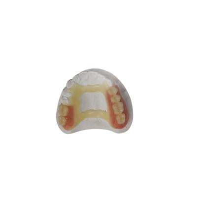 China Gummi-PFM zahnmedizinischer Drucker Dental Laboratory des natürlichen Blick-der Kronen-3D zu verkaufen