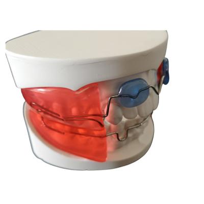 Chine Les appareils orthodontiques dentaires simples installent le matériel biologique de technologie à vendre